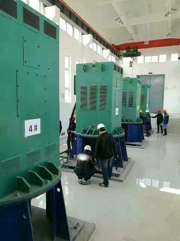 YKS5001-8某污水处理厂使用我厂的立式高压电机安装现场