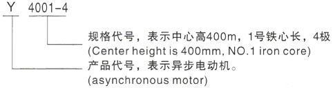 西安泰富西玛Y系列(H355-1000)高压YKS5001-8三相异步电机型号说明